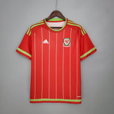 PAÍS DE GALES 2015 HOMBRE (RETRO)