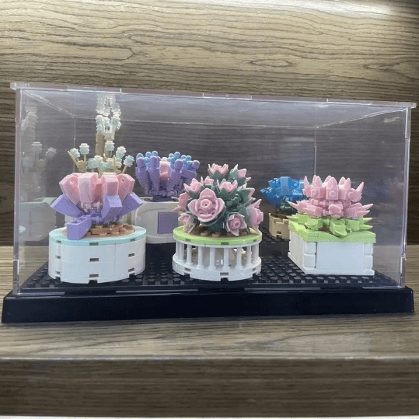 Cabine Box